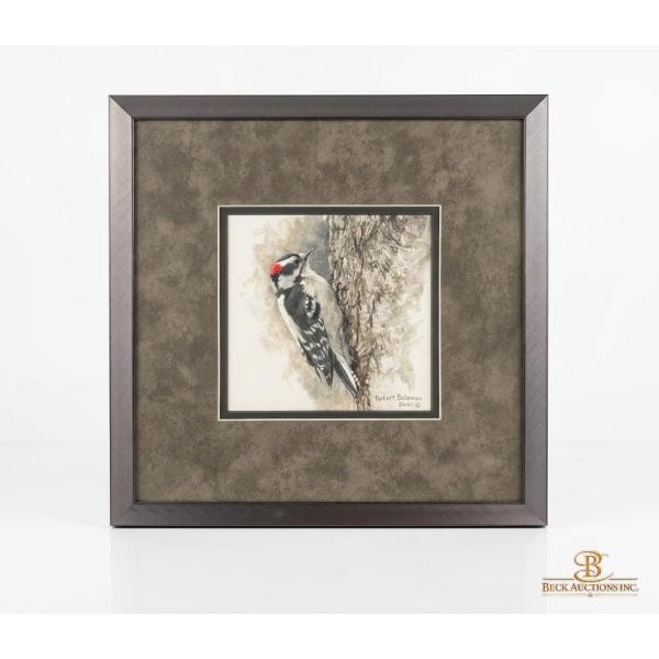 Framed Watercolor "Downy Woodpecker Study" By Canadian Artist Robert Batema 12''W*12''H INCHES.