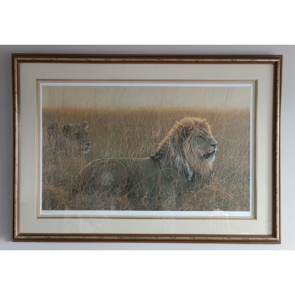 Robert Bateman's 444/950 Art Print  "Lions In The Grass"  42"x 30"tall