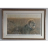 Image 1 : Robert Bateman's 444/950 Art Print  "Lions In The Grass"  42"x 30"tall