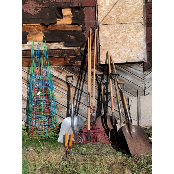 Garden supply lot, tomato’s cages, rakes shovels snippers and more
