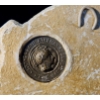 Image 6 : Goddess Athena-Minerva and Buddha Wall Masks with Resin Encased Trinket Box