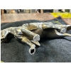 Image 2 : Vintage Country Western Cast Pot Metal Horse. Old Vintage Carnival Prize
