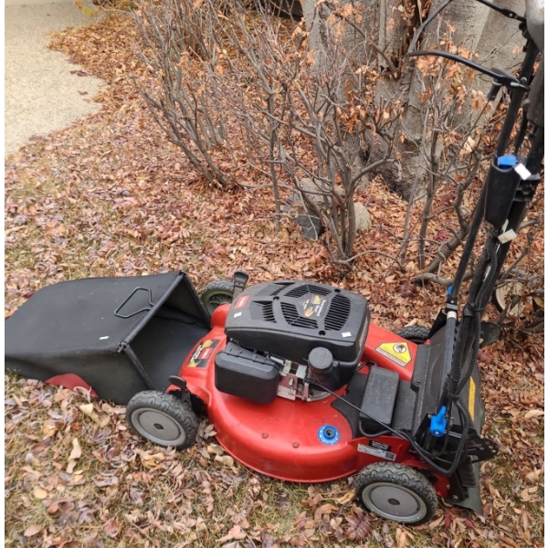Toro 159 cc Model 20384 Lawnmower w/ Bag 