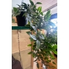 Image 6 : Display Shelf 21x29x64 w/ Decorative Faux Plants & More