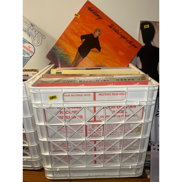 Mystery Vinyl Record Collection - Anne Murray & More