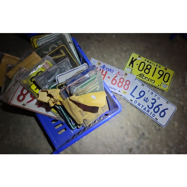 Collection of License Plates, Most From Alberta/ Some Vintage 