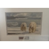 Image 2 : "Masters of the Arctic" 16.5 X 14 Framed Under Glass
