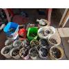 Image 1 : nails screws, nuts, bolts, clamps screws, and nuts and bolts for every use