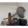 Image 1 : Pottery Collection & Bees Nests - May collapse when touched.