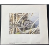 Image 2 : Chris Bacon "Late Fall - Black Duck" Signed Wildlife Habitat Canada Print