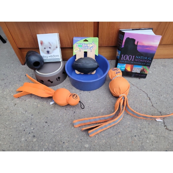 K9 Essentials - Busy Buddy Kong Toy Neon Orange Flyers Food & Hydration Bowls