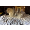 Image 1 : Home Decor Collection w/ Glass for Oil Lamps  Big Bundle