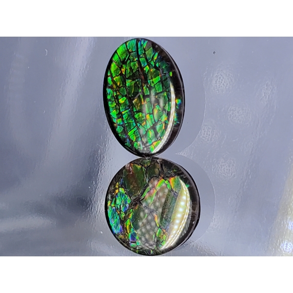 Ammolite Pair (6.5 ct total, 12×10×2.3 mm)
