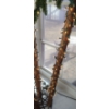 Image 6 : Illuminating Palm Tree Decor- Base:18 X 19, 80 T 