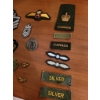 Image 3 : Military Patches and Insignia, Including Canadian Badges
