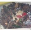 Image 4 : Holiday/ Seasonal Wreaths, Five Included, Scroll Photos 