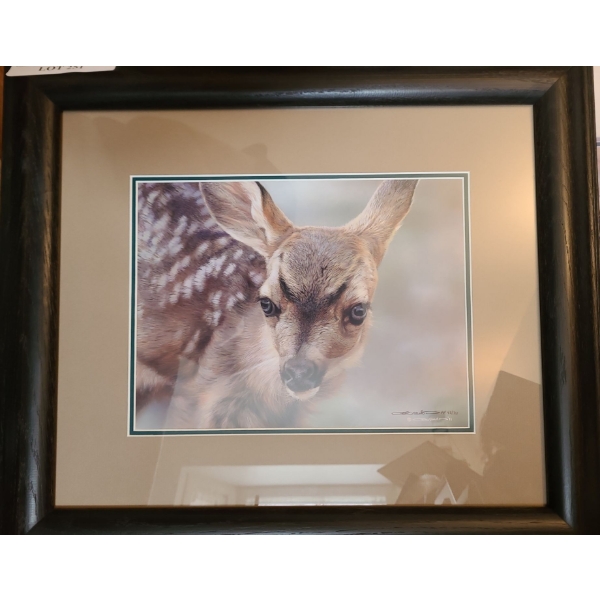 Spotted Mule Deer by Carl Brenders Artist Proof 43/76 23 w 20 h