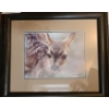 Image 1 : Spotted Mule Deer by Carl Brenders Artist Proof 43/76 23 w 20 h