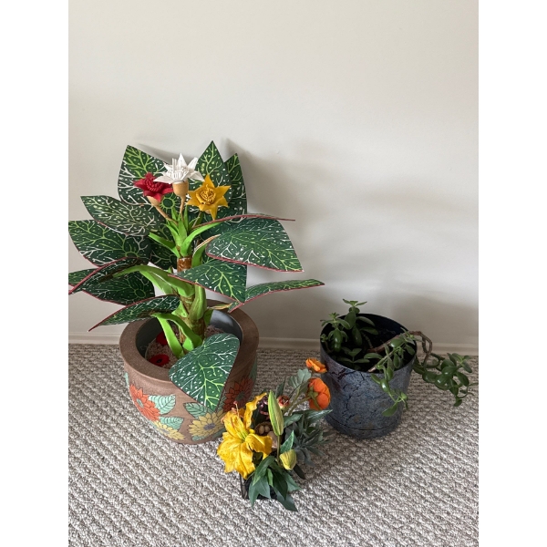 Artificial Plants w/ Pots Plus Living Jade? Plant 