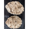Image 2 : A. Santini's Stlye Art Sculpture 11L w/ Pair Of Lion Head Pediment Applique