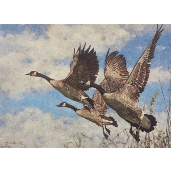 George McLean "On the Wing - Canada Geese" Signed Wildlife Habitat Canada Print