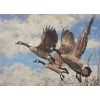 Image 1 : George McLean "On the Wing - Canada Geese" Signed Wildlife Habitat Canada Print