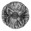 Image 1 : 2020 $20 Remembrance Day - Pure Silver Coin
SKU: 178984