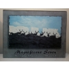 Image 3 : Artwork Featuring A Herd Of Deer titled, "return of the magnificent"