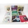 Image 1 : 9 Assorted Vinyl Records