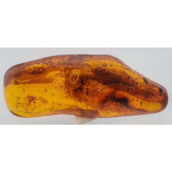 Polish Amber (35.8 ct, 52×21×12 mm)