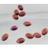 Image 2 : Garnet Parcel (6.4 ct total, 6×4 mm)
