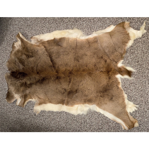 Deer Rug 54L