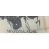 Image 2 : Led Zeppelin "Mudslide" - Live Vancouver Performance