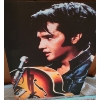 Image 2 : Canvas Print of Elvis 24 w 35 1/2 h & Elvis Dry Mount Picture 36 w 11 1/2 h