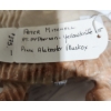 Image 6 : Pink Alabaster Muskox, Artist: Peter Mitchell, 8 W, 2.5 D, 5 T 