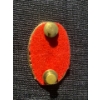 Image 2 : Collectible Military Cap Badge for the Canadian Scottish Regiment