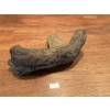 Image 2 : Charles Hilton clay torso, small sculpture  7L