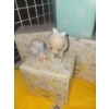 Image 2 : New Precious Moments Collectibles (5 Count)- 'Always Room For One More'