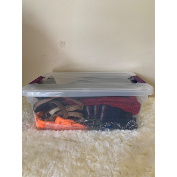 Dog Clothing, Accessories, and Toys in Storage Bin