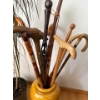Image 2 : Lovely Potted Plant (Dragon Tree) w/ Large Dijon Vase Full of Collectible Walking Sticks Incl. 1966