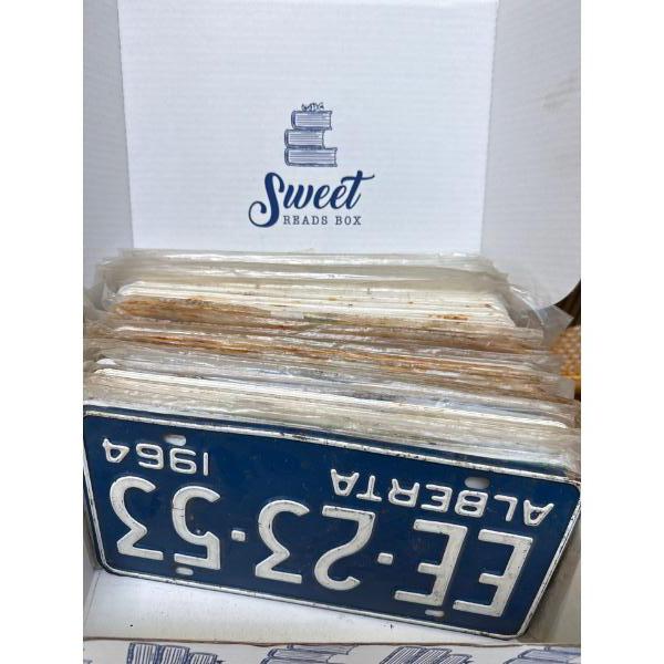 Awesome Large Hoard of Vintage License Plates 