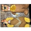 Image 1 : 1959 Kinnickerbocer Yogi Bear 18 " Plush Stuffed Rubber Face Vintage Toy And Vintage Hannah Barbara 
