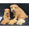 Image 1 : Sandicast Sharpei Family Sculptures 1986 (6"T), 3 x 1987 Lil Snoozers +