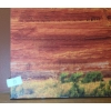 Image 3 : Print on Canvas of Abandoned Desert Dwellings and Tree by Fred Lord 60 X 20 