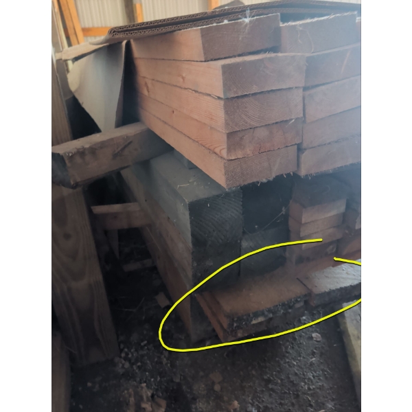 Lumber Shop - 2 - 2"x 12" Pieces Of Lumber - 16 Feet Long 