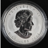 Image 2 : 2004 $5 Silver Maple Leaf D-Day - 1oz 99.9% Fine Silver Coin
