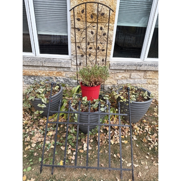 Three Large Planters w/Trellese & Metal Gate