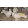 Image 5 : LLADRO 'A Quiet Afternoon' Stunning Sculpture -  9W, 7D, 12T