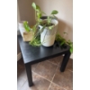 Image 2 : IKEA Lack Side Table 18'Tall w/ Live Potted Greenary Artifical Vine Plant & Assorted Planters