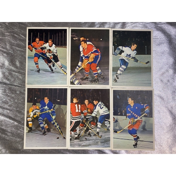 6 Color Hockey Action Trading Cards Featuring NHL Teams